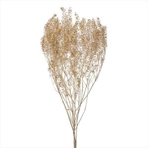 【グリーン　リーフ　実もの　枝もの　グリーン】　ぺティーコート　プラチナ do004050-932 0【東京堂】