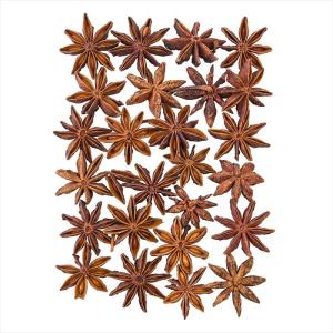 【ドライフラワー　ナチュラル素材　実もの ナチュラル】　スターアニス　ナチュラル do021020-000【東京堂】