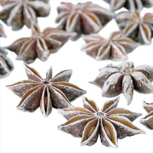 【実もの　カラー】　スターアニス　スノー do021020-982 0【東京堂】