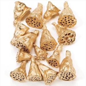 【実もの　カラー】　ミニハス・大　ゴールド do022411-902 0【東京堂】