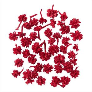 【実もの　カラー】　フラワーコーン　レッド do024710-301 0【東京堂】