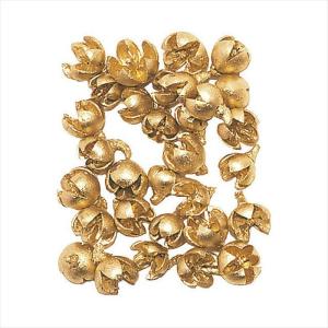 【実もの　カラー】　ミニバクリ　ゴールド do024780-900 0【東京堂】