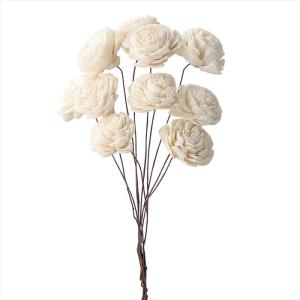 【ドライフラワー　ナチュラル素材　ナチュラル素材 ハンドメイドフラワー】　ソーラーローズ・小　白 do032081-010【東京堂】