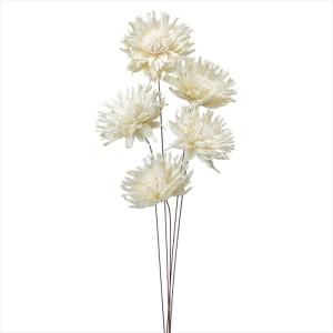 【ドライフラワー　ナチュラル素材　ナチュラル素材 ハンドメイドフラワー】　ソーラーガーベラ・スパイダー　白 do032500-010【東京堂】