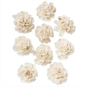 【ドライフラワー　ナチュラル素材　ナチュラル素材 ハンドメイドフラワー】　ソーラーダリアヘッド　白 do032710-010【東京堂】