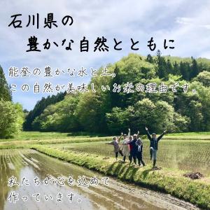 玄米甘酒 無添加 砂糖不使用 父の日 御中元 ...の詳細画像3