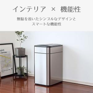 電動ゴミ箱 自動開閉 45L 50L 対応 ゴ...の詳細画像2