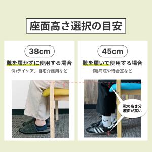 介護椅子 立ち上がりやすい 肘付き 1脚 ダイ...の詳細画像3