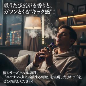 FlexPlus HINIC 極 リキッド 6...の詳細画像2