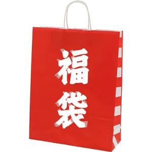 福袋 50枚 紙袋 袋のみ 袋 福袋用 手提げ...の詳細画像3