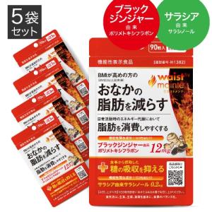 ボニック 本体 ボディケアマシーン ダイエット スタイルアップ 毎日5分