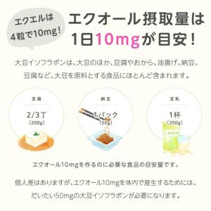 大塚製薬 エクエル パウチ 120粒×3袋 エ...の詳細画像4