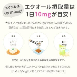 エクエル パウチ 大塚製薬 120粒入 エクオールの詳細画像4