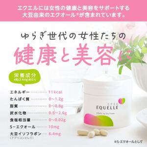 大塚製薬 エクエル パウチ 120粒 2袋 エ...の詳細画像3