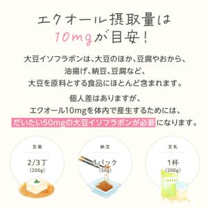 大塚製薬 エクエル パウチ 120粒 2袋 エ...の詳細画像5