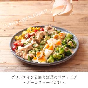 内祝 夏ギフト 実身美 サンミ ドレッシング3...の詳細画像4