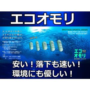 ECOオモリ　 80号