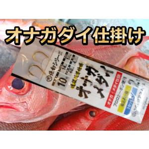 剛樹 オリジナル 仕掛け ディープウィリー シマアジ ウメイロ アオダイ