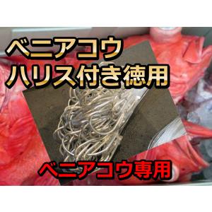 ベニアコウ用　ハリス付きムツ針２５号　　１００本入り徳用　深場釣り用　　下田漁具｜sangodoshop