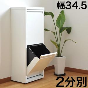 ゴミ箱 2分別 ダストボックス 幅35 白 キッチン 20L ペール 幅34.5cm 薄型 おしゃれ 白ごみ箱 20Lのペールの水洗いOK 薄型ダストボックス｜sangostyle