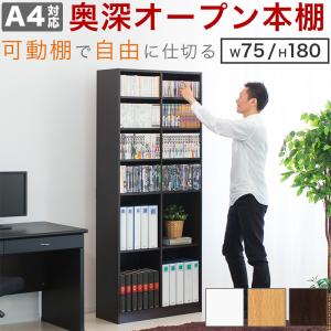 dinos（ディノス） たっぷり収納！スチールラック スタンド式 CD用 幅