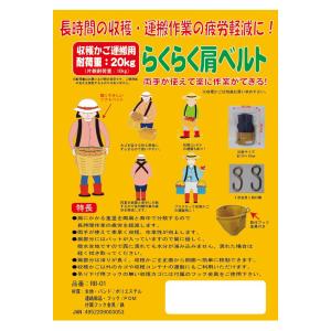 ラクラク肩ベルト(スポンジパット入) 入数50...の詳細画像2