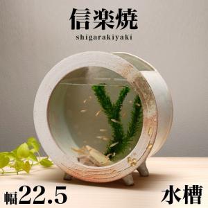 アクアリウムセット ミニチュア ランドスケープ 7点セット景観が含まれ