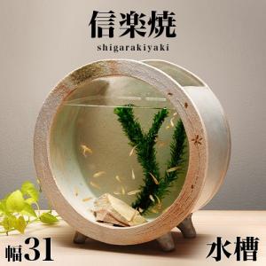 信楽焼き 水槽 和風 白金彩丸 大 幅31 高さ33 金魚鉢 陶器製水槽 Nhk 信楽 スカーレット Spabri Com