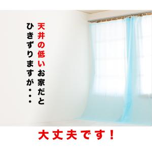 メール便カーテン ビニール ロング 丈250 ...の詳細画像2