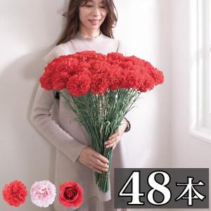 花束 48本 バラ 薔薇 カーネーション 母の日ギフト お祝 ギフト 母の日 父の日 アートフラワー 48輪 アーティフィシャルフラワー 造花 葉付き リアル｜sangostyle