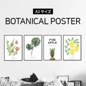 ポスター インテリア A3 ボタニカル 植物 おしゃれ アートポスター アートプリント アートフレーム ボタニカル 選べる12種類 29 7x42cm フレームなし Pg01 インテリア生活雑貨のサンサンフー 通販 Yahoo ショッピング