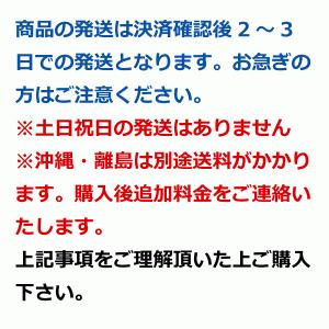 TR-135 16.9-30 8PR BKT ...の詳細画像3