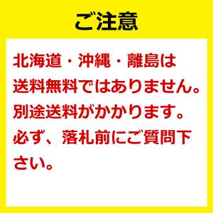 2本 D-271 190/50-12 4PR ...の詳細画像4
