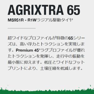 2本 AGRIXTRA65 650/65R38...の詳細画像2
