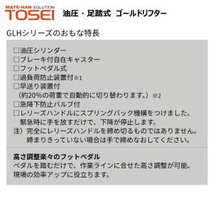 東正車輛 250kg スタンダード 業務用 G...の詳細画像3