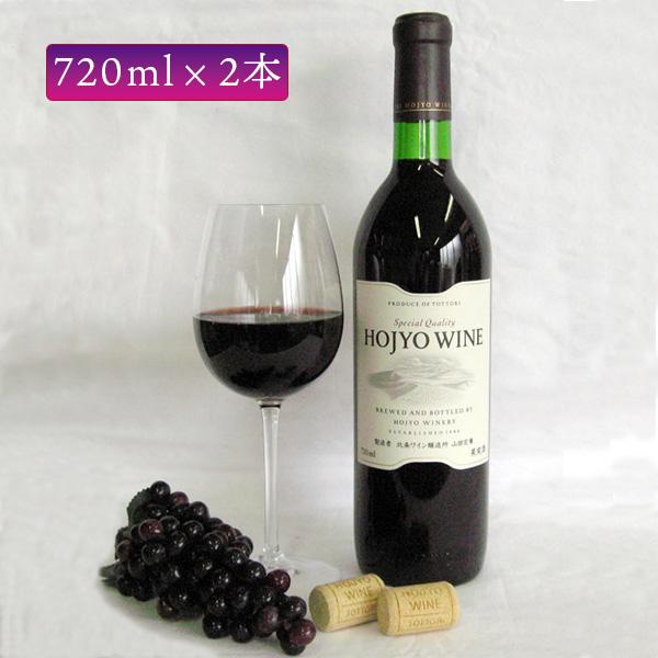 北条ワイン 赤 720ml×2 地元産砂丘ぶどう使用 鳥取