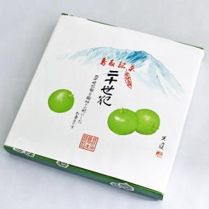 自然回帰水ボトル(500mL×20本) : タイセイオンラインショップ - 通販