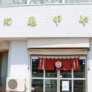 二十世紀 24枚入り 亀甲や 鳥取銘菓 ゼリー...の詳細画像4