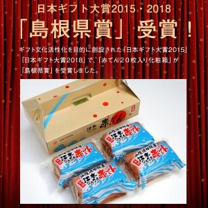 赤天 江木なうなう赤てんスティック 9本入り×...の詳細画像2