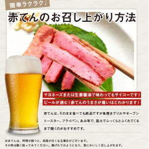 赤天 江木なうなう赤てんスティック 9本入り×...の詳細画像4