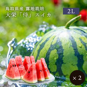 杉本農園　2Lサイズ1kg、2Lサイズ500gパック×4袋 6月下旬〜7月上旬出荷 鳥取 大栄侍スイカ 2Lサイズ 露地栽培 奥田農園