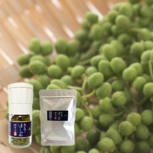 山椒 奥出雲のはじかみ ミルボトル入り13g＆詰め替え13g