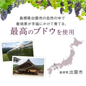 島根ワイナリー 2026年産 ヌーボーデラウェ...の詳細画像3