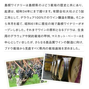島根ワイナリー 2026年産 ヌーボーデラウェ...の詳細画像4