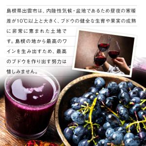 島根ワイナリー 2026年産 ヌーボーデラウェ...の詳細画像5