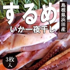 島根県浜田産　するめいか一夜干し３枚