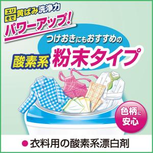 花王 ワイドハイターEXパワー粉末タイプ 業務...の詳細画像1