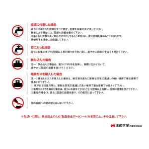 サンラックP 本町化学工業 次亜塩素酸ソーダ ...の詳細画像2