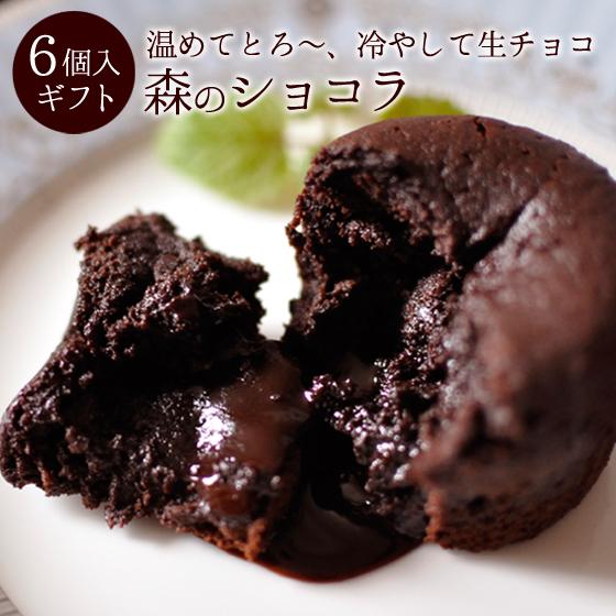 チョコレート ギフト 誕生日 プレゼント フォンダンショコラ 生チョコケーキ 濃厚 森のショコラ 6...