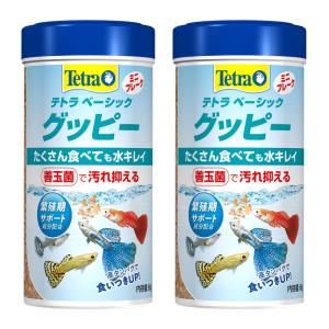 Tetra テトラベーシックグッピー60g 2本セット｜sanjose-market